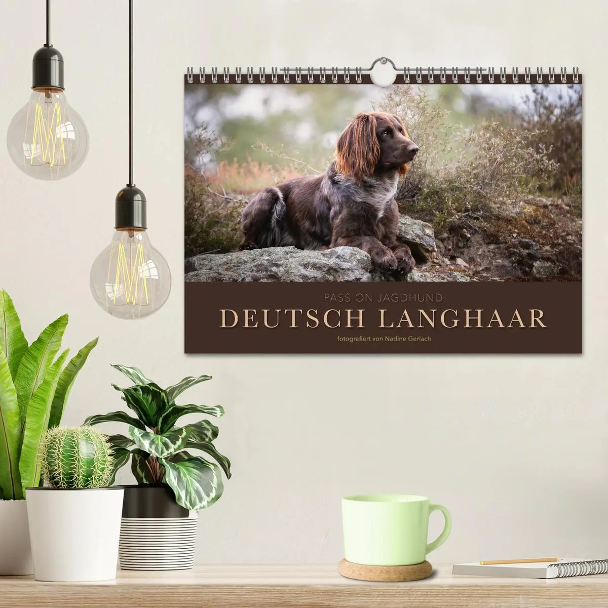 Bild: 9783457555088 | Passion Jagdhund - Deutsch Langhaar (Wandkalender 2026 DIN A4...