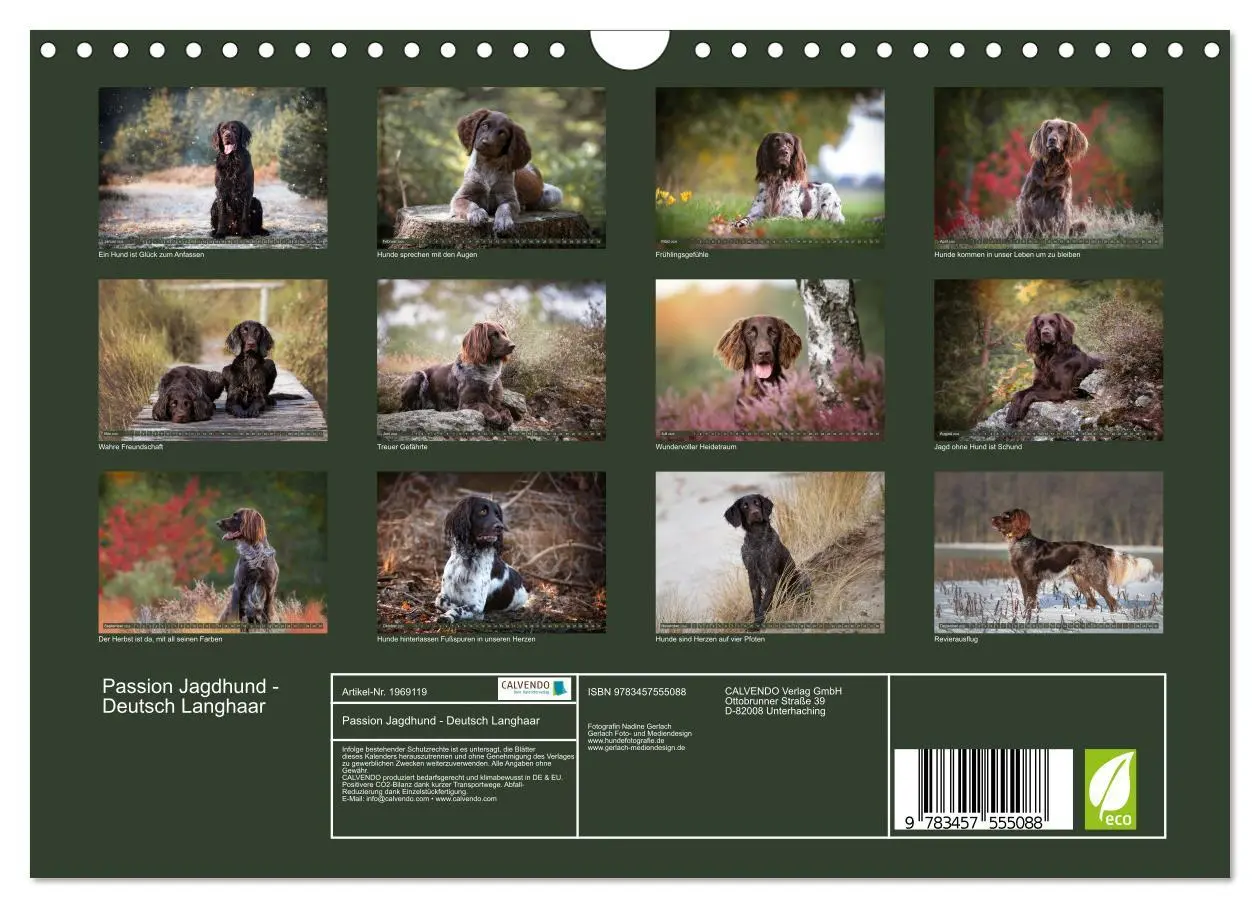 Bild: 9783457555088 | Passion Jagdhund - Deutsch Langhaar (Wandkalender 2026 DIN A4...