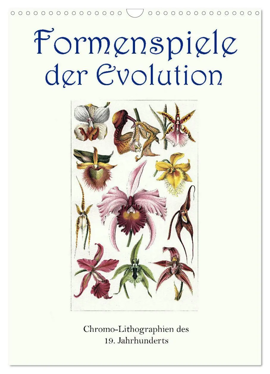 Cover: 9783516405088 | Formenspiele der Evolution. Chromolithographien des 19....