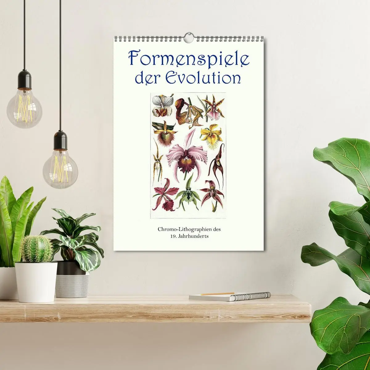 Bild: 9783516405088 | Formenspiele der Evolution. Chromolithographien des 19....