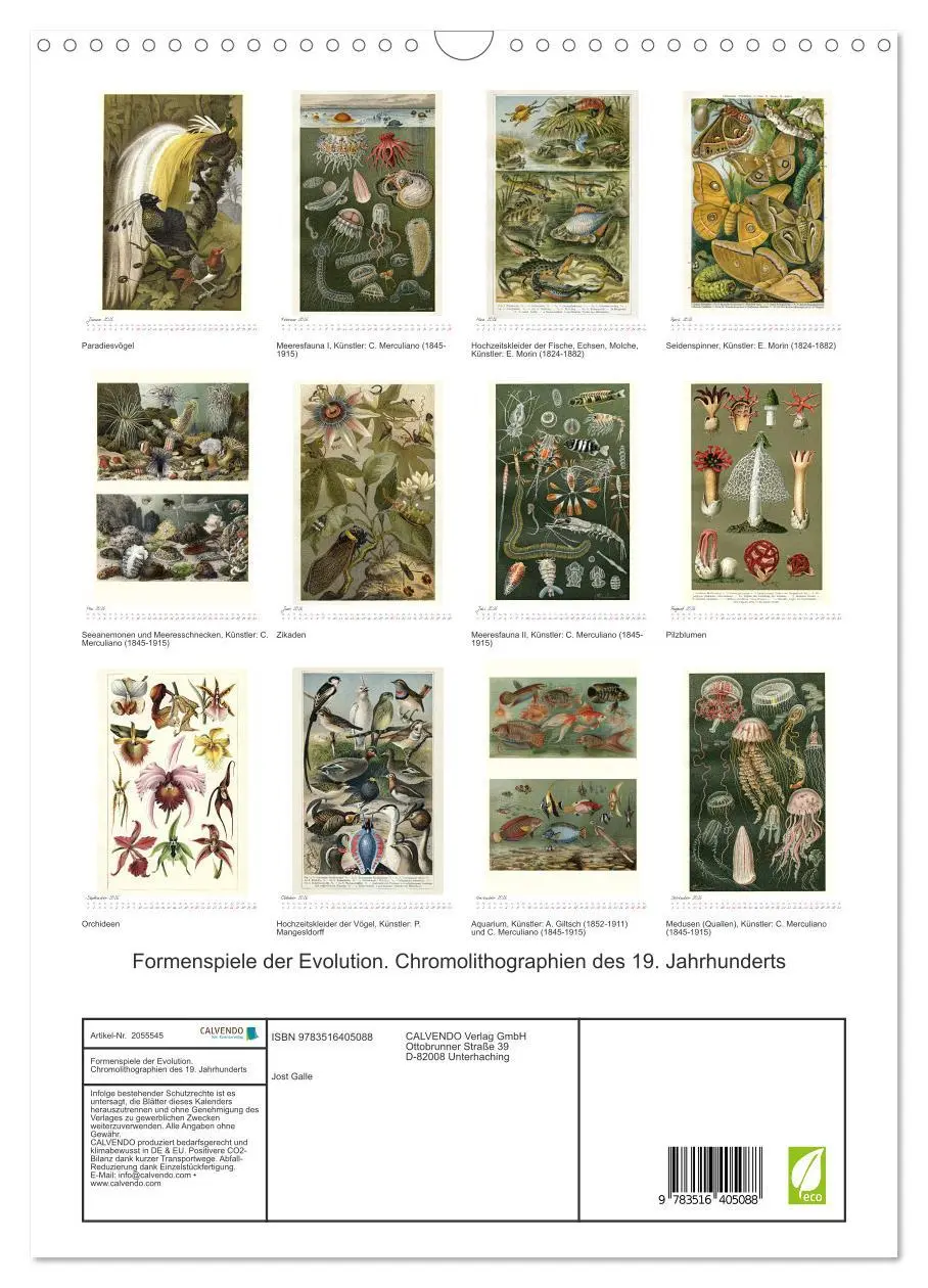 Bild: 9783516405088 | Formenspiele der Evolution. Chromolithographien des 19....