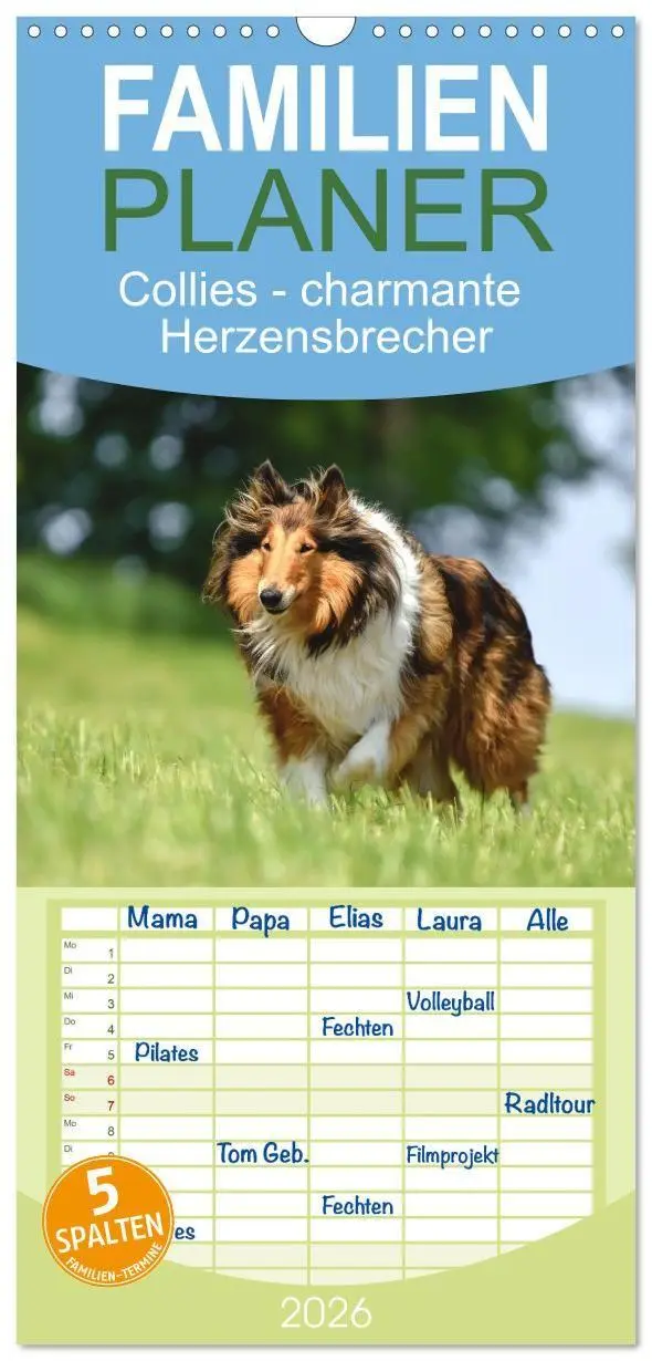 Cover: 9783516715088 | Familienplaner 2026 - Collies - charmante Herzensbrecher mit 5...