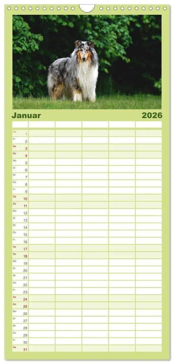 Bild: 9783516715088 | Familienplaner 2026 - Collies - charmante Herzensbrecher mit 5...