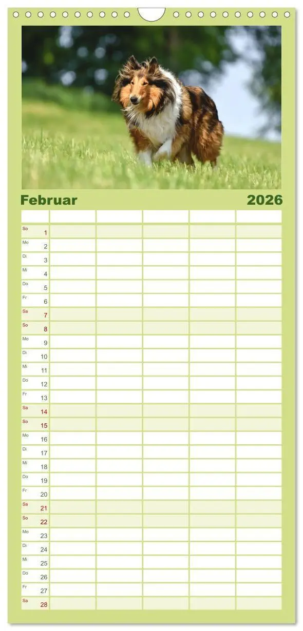 Bild: 9783516715088 | Familienplaner 2026 - Collies - charmante Herzensbrecher mit 5...