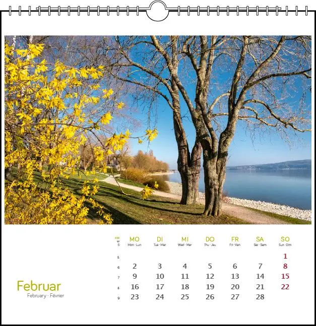 Bild: 9783861925088 | Westlicher Bodensee 2026 | Postkarten-Tischkalender | Frank Herkner
