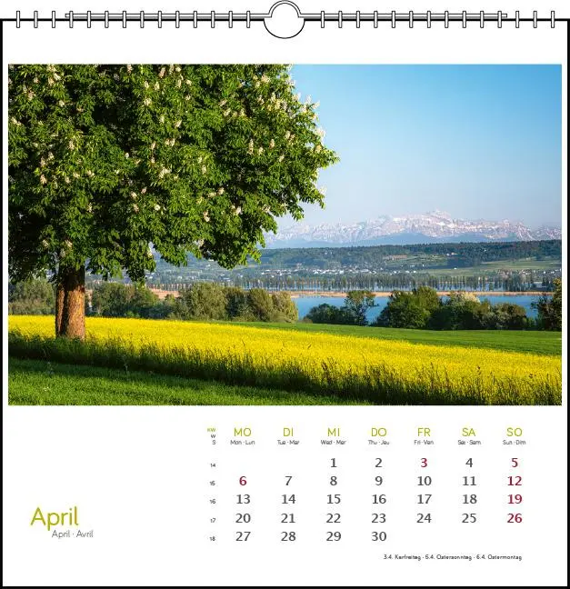 Bild: 9783861925088 | Westlicher Bodensee 2026 | Postkarten-Tischkalender | Frank Herkner