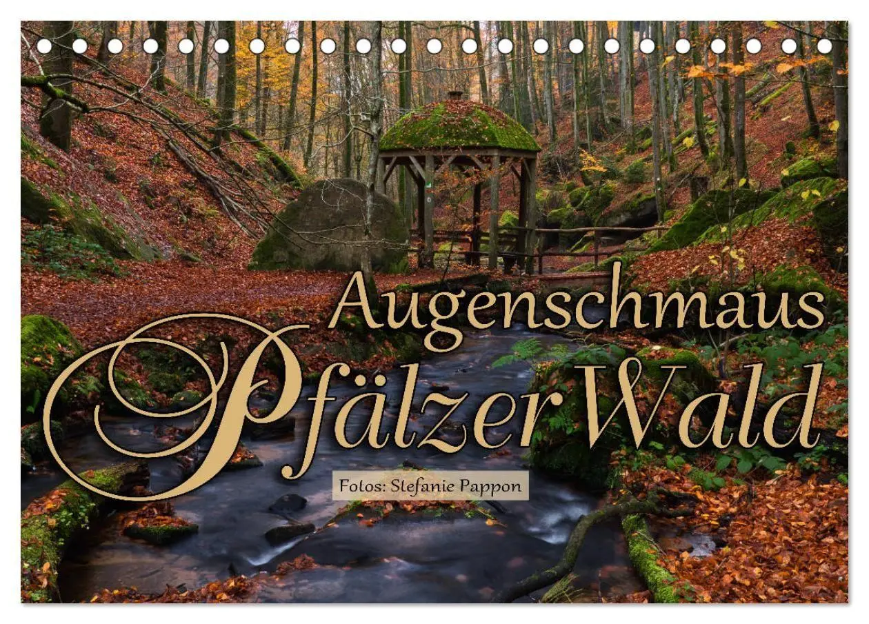 Cover: 9783569585188 | Augenschmaus Pfälzer Wald (Tischkalender 2027 DIN A5 quer),...