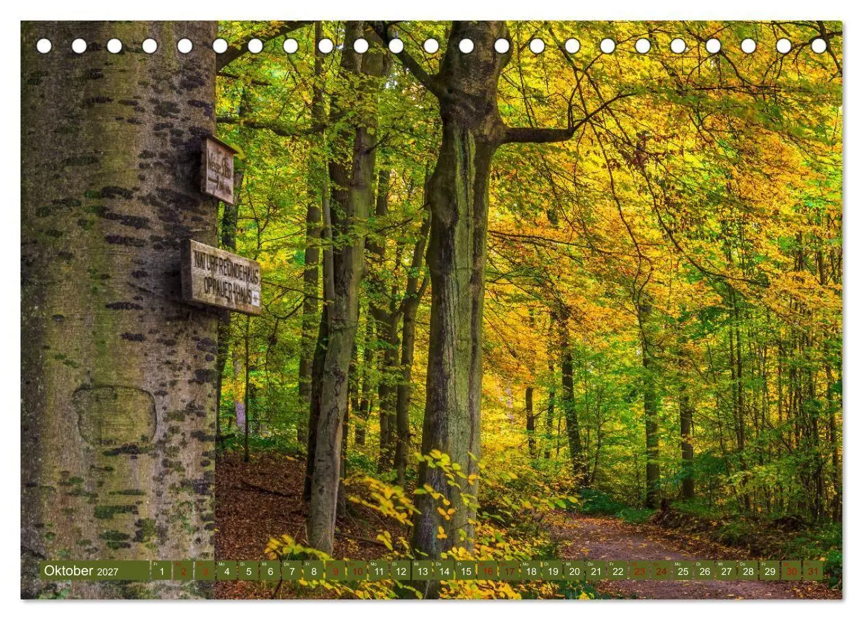 Bild: 9783569585188 | Augenschmaus Pfälzer Wald (Tischkalender 2027 DIN A5 quer),...