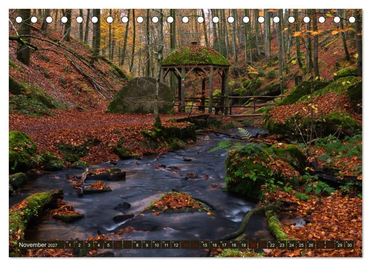 Bild: 9783569585188 | Augenschmaus Pfälzer Wald (Tischkalender 2027 DIN A5 quer),...