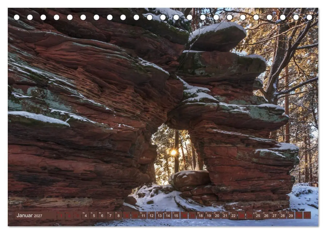 Bild: 9783569585188 | Augenschmaus Pfälzer Wald (Tischkalender 2027 DIN A5 quer),...