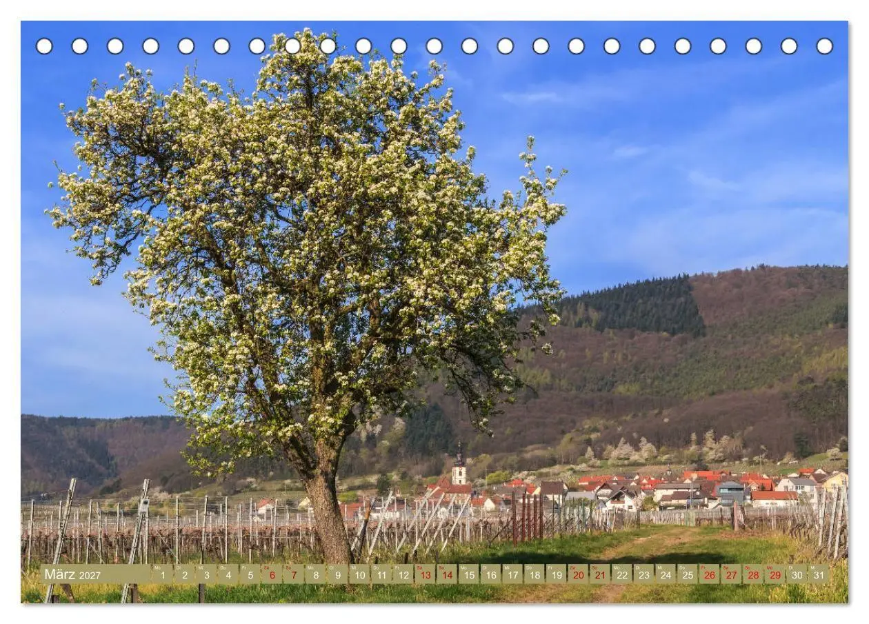 Bild: 9783569585188 | Augenschmaus Pfälzer Wald (Tischkalender 2027 DIN A5 quer),...