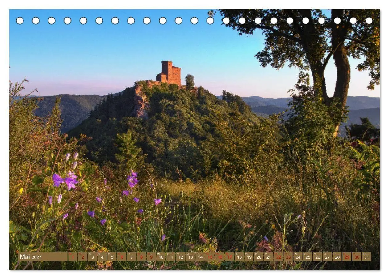 Bild: 9783569585188 | Augenschmaus Pfälzer Wald (Tischkalender 2027 DIN A5 quer),...