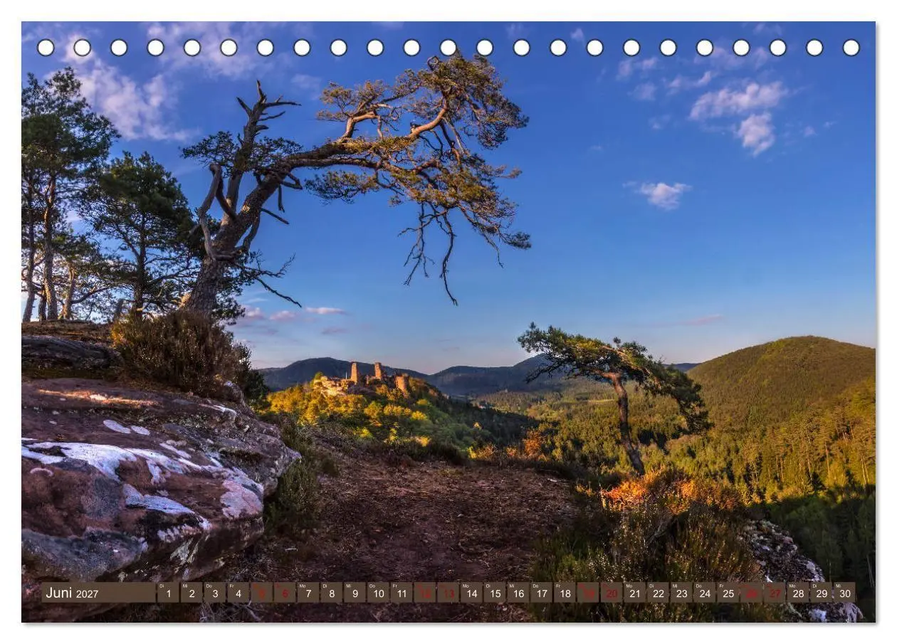 Bild: 9783569585188 | Augenschmaus Pfälzer Wald (Tischkalender 2027 DIN A5 quer),...