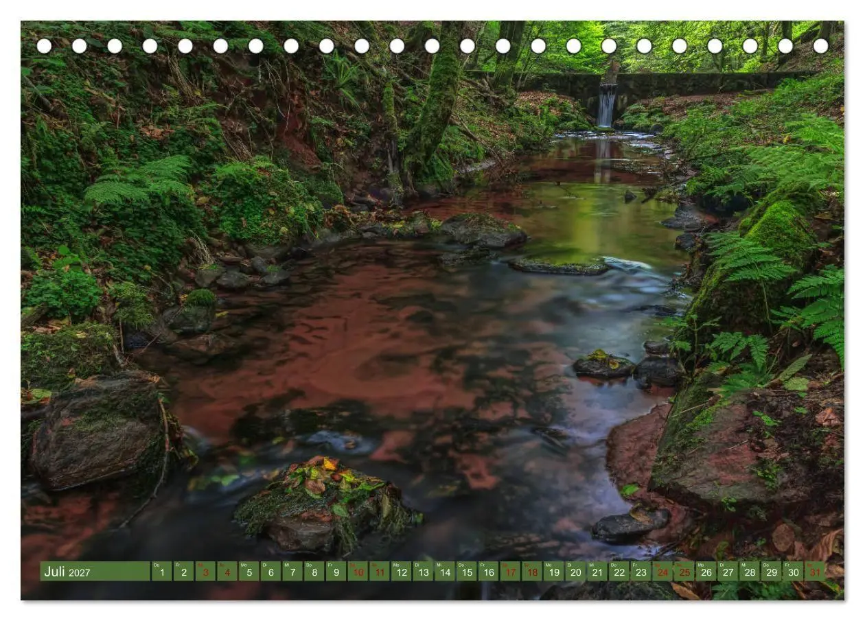 Bild: 9783569585188 | Augenschmaus Pfälzer Wald (Tischkalender 2027 DIN A5 quer),...