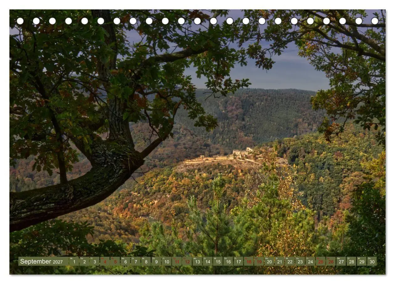 Bild: 9783569585188 | Augenschmaus Pfälzer Wald (Tischkalender 2027 DIN A5 quer),...