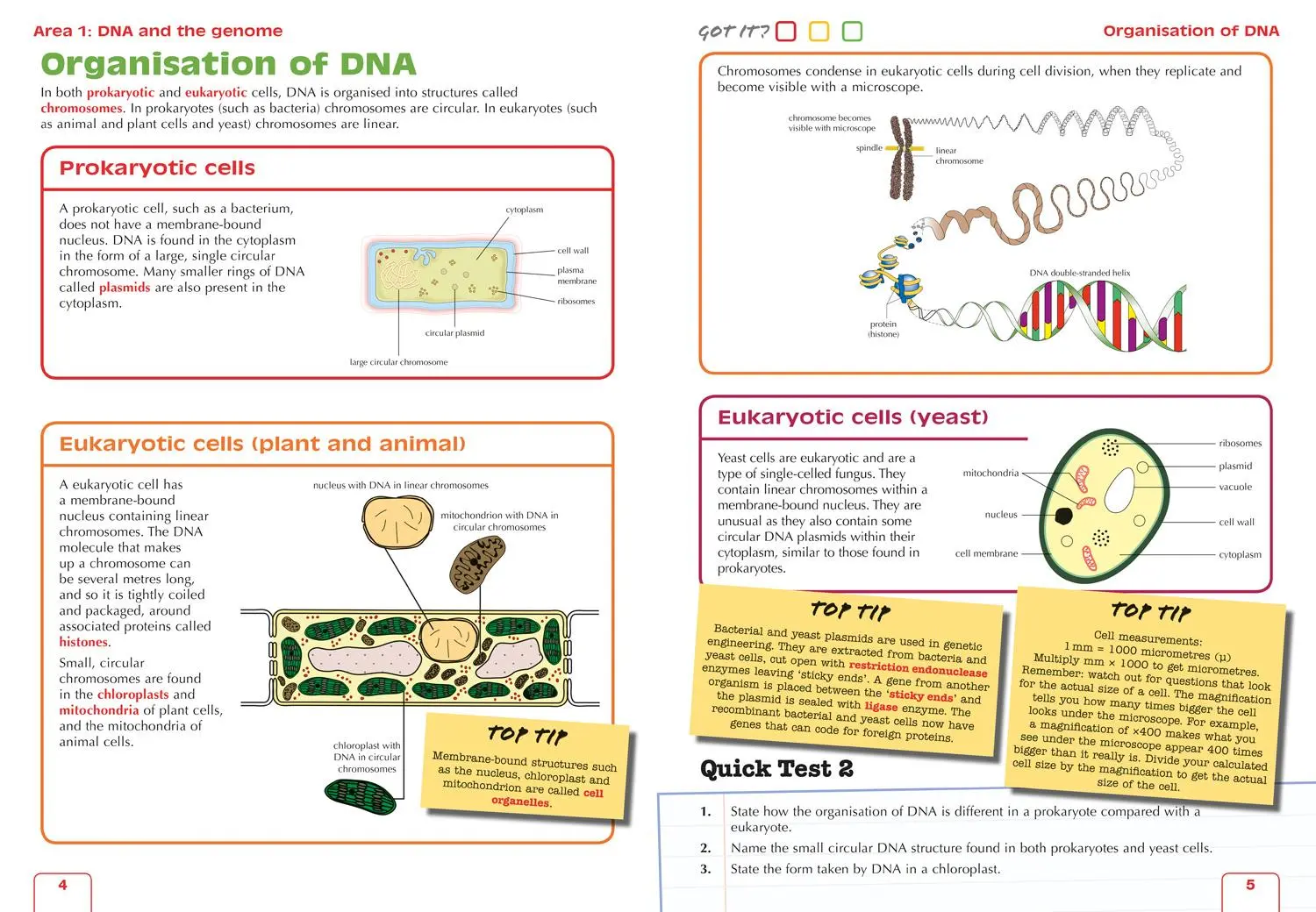 Bild: 9780008365288 | Complete Revision and Practice Sqa Exams - Higher Biology Complete...