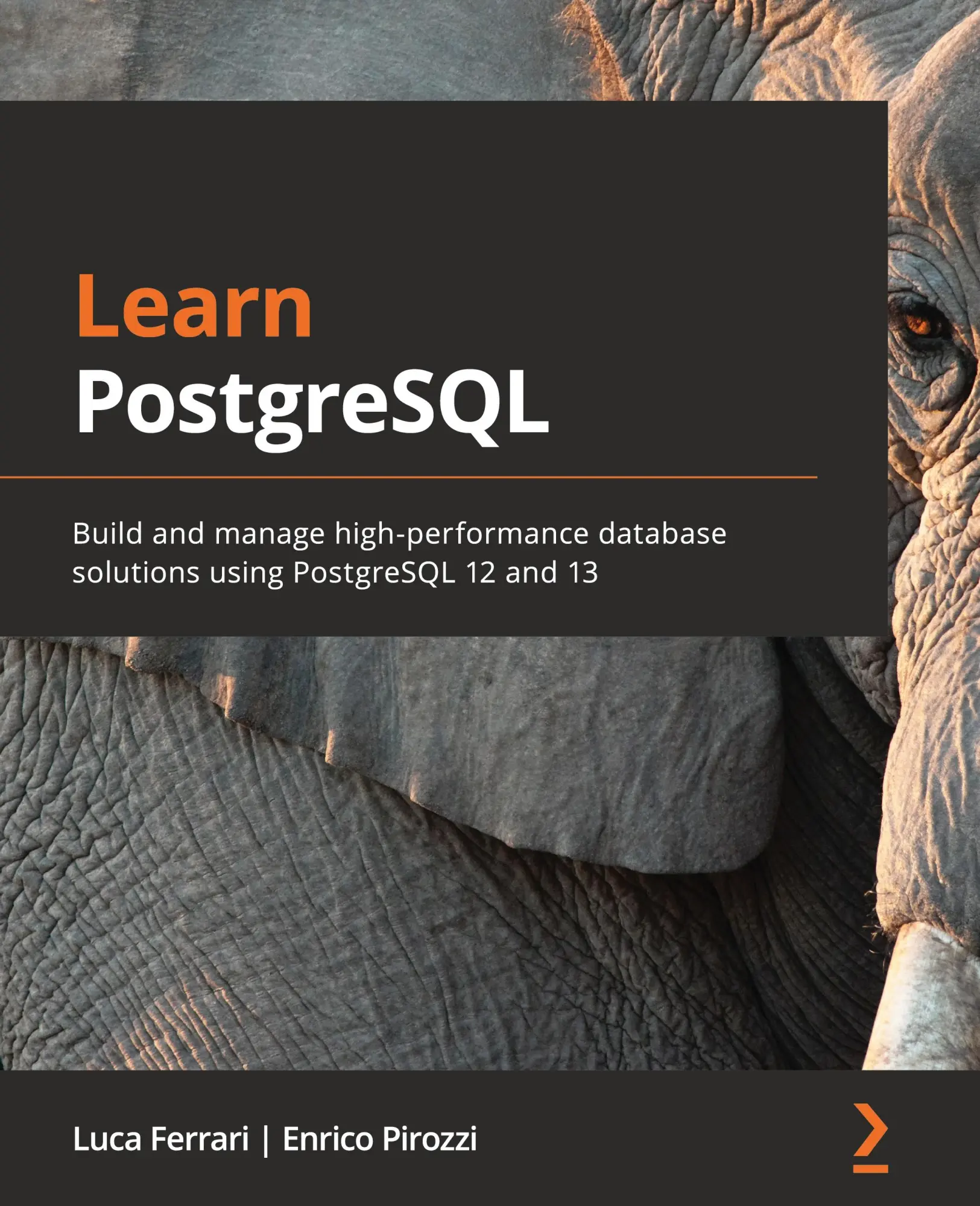 Cover: 9781838985288 | Learn PostgreSQL | Luca Ferrari (u. a.) | Taschenbuch | Englisch