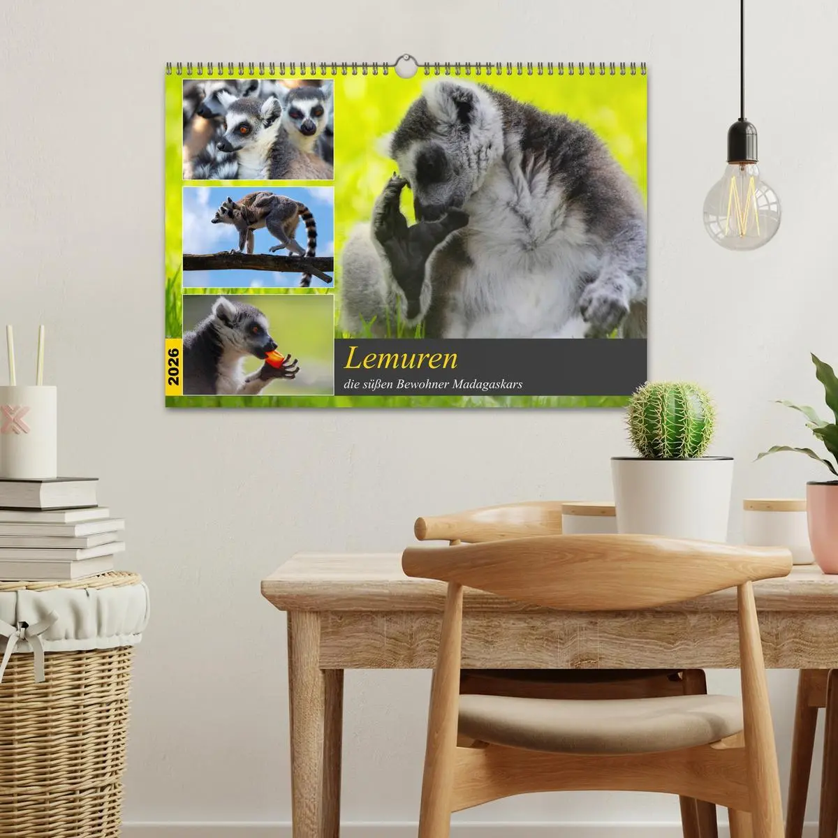 Bild: 9783457775288 | Lemuren die süßen Bewohner Madagaskars (Wandkalender 2026 DIN A3...