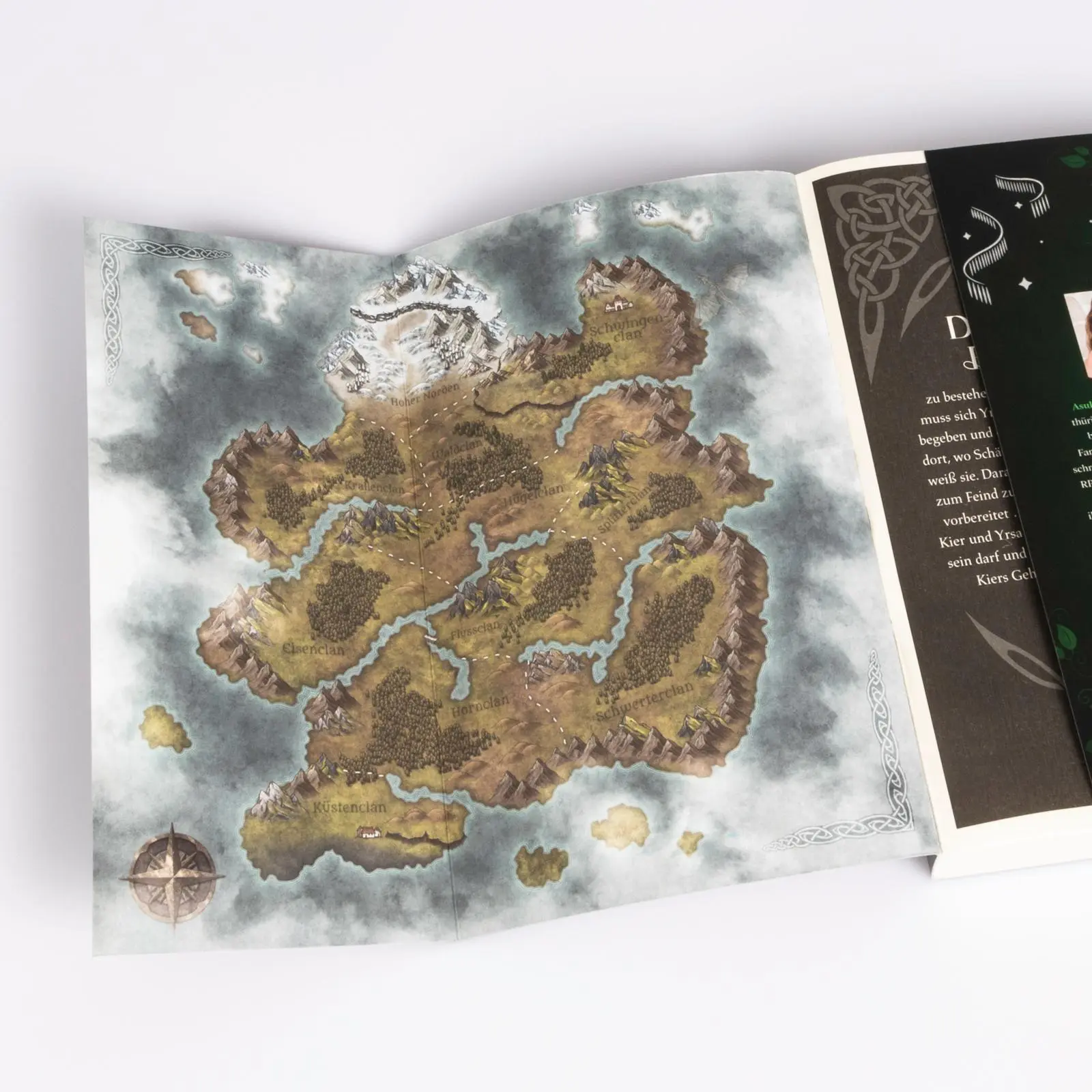 Bild: 9783551585288 | Nordic Clans 2: Dein Kuss, so wild und verflucht | Asuka Lionera