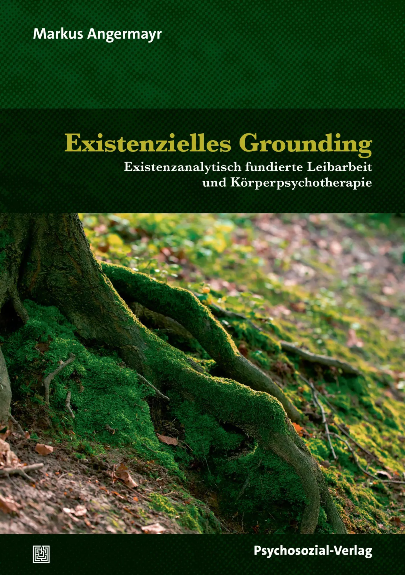 Cover: 9783837935288 | Existenzielles Grounding | Markus Angermayr | Taschenbuch | 228 S.