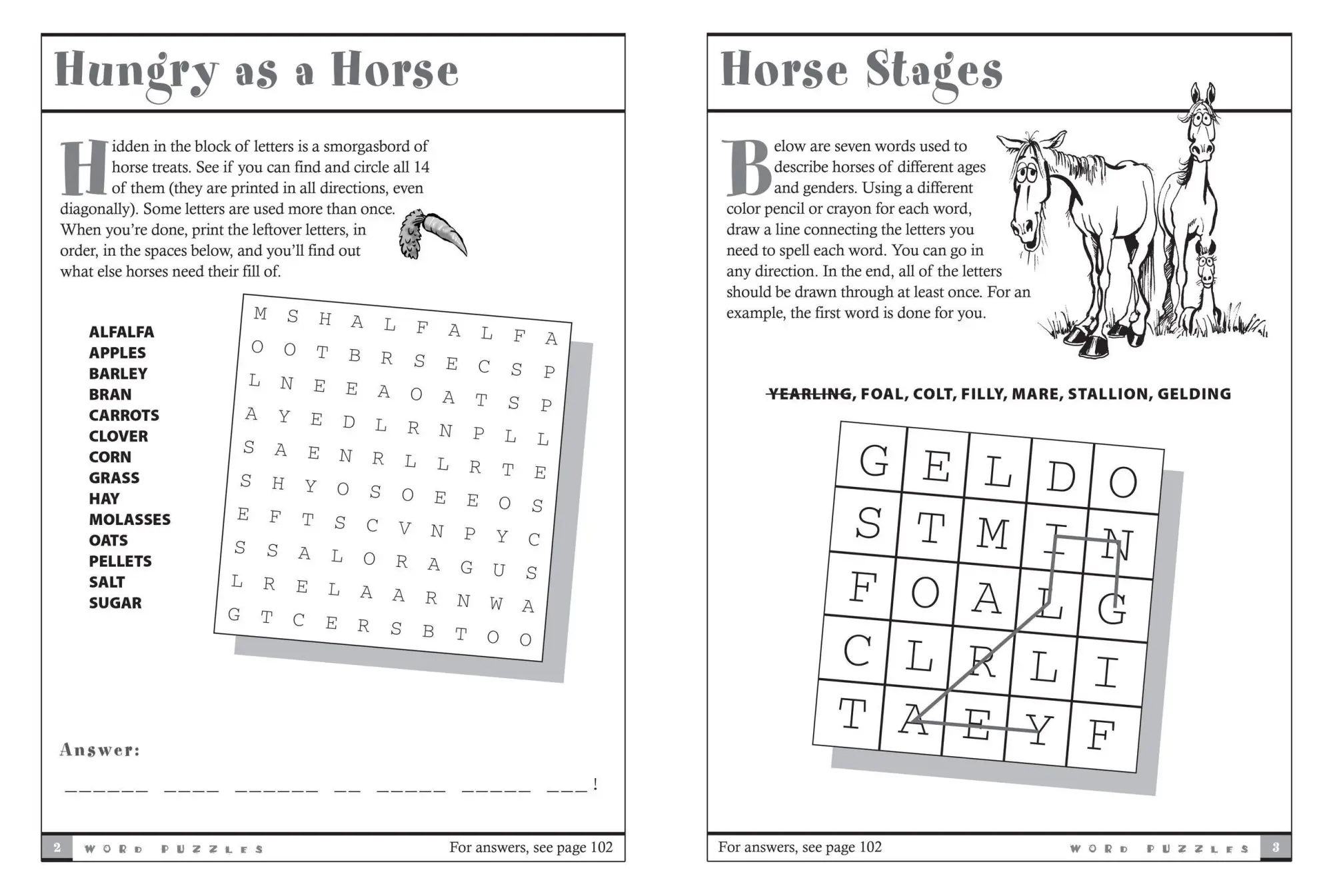 Bild: 9781580175388 | Horse Games &amp; Puzzles for Kids | Cindy A Littlefield | Taschenbuch
