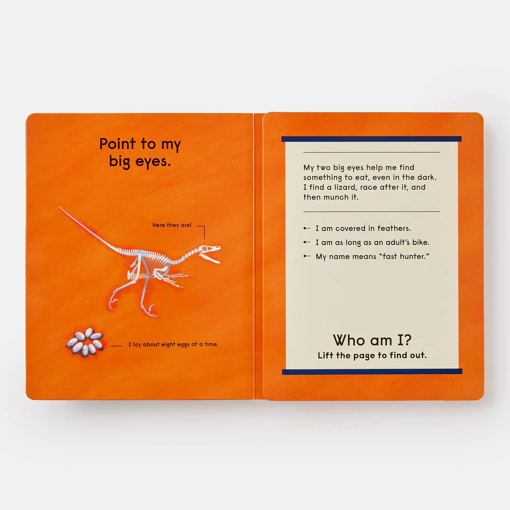 Bild: 9781838665388 | Who's That Dinosaur? | An Animal Guessing Game | Gabrielle Balkan