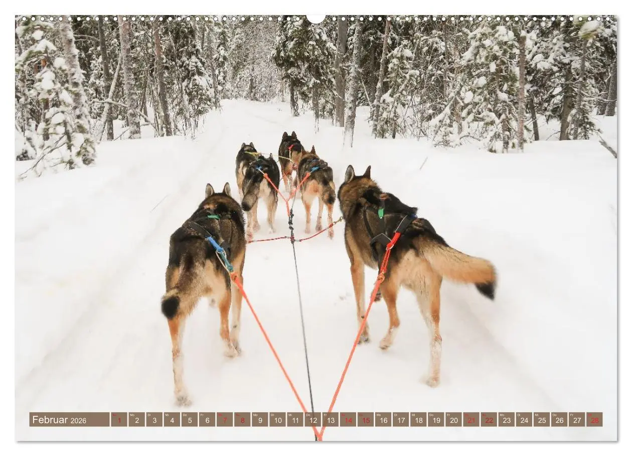 Bild: 9783516235388 | Finnisch Lappland (Wandkalender 2026 DIN A2 quer), CALVENDO...