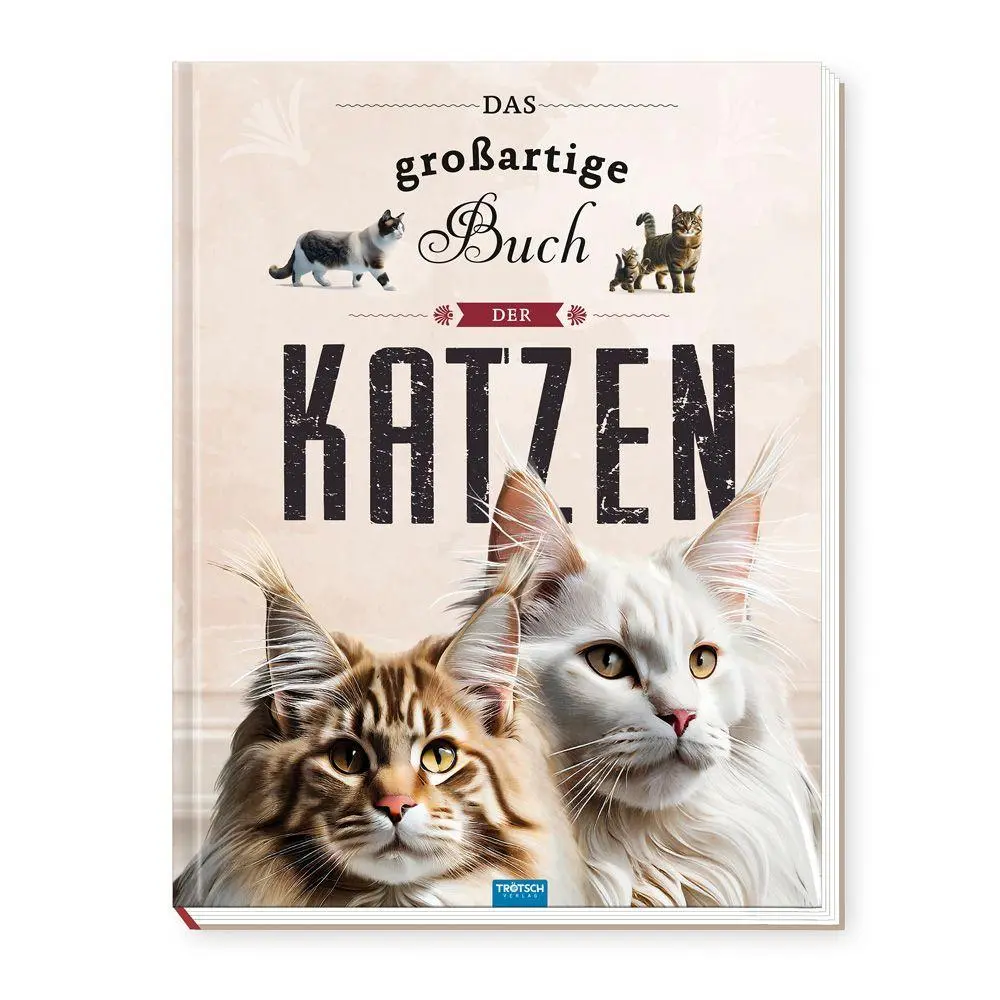 Cover: 9783988025388 | TRÖTSCH - Kinderbuch Das großartige Buch der Katzen Ab 8 Jahren | KG