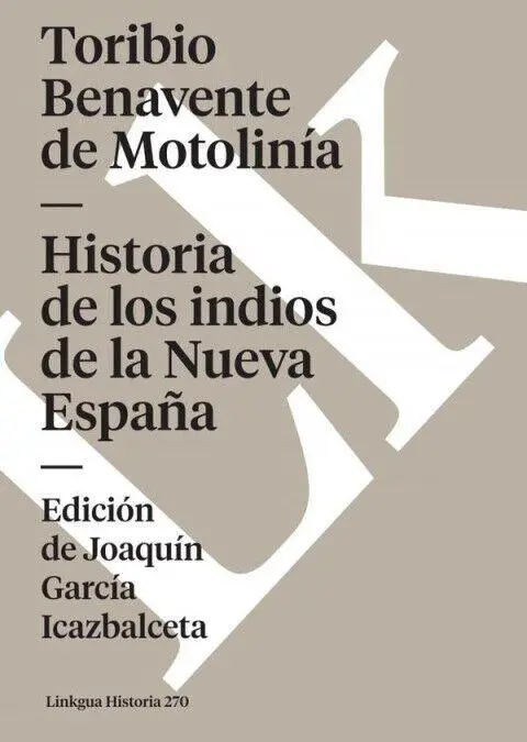 Bild: 9788498165388 | Historia de los indios de la Nueva España | Motolinía | Taschenbuch