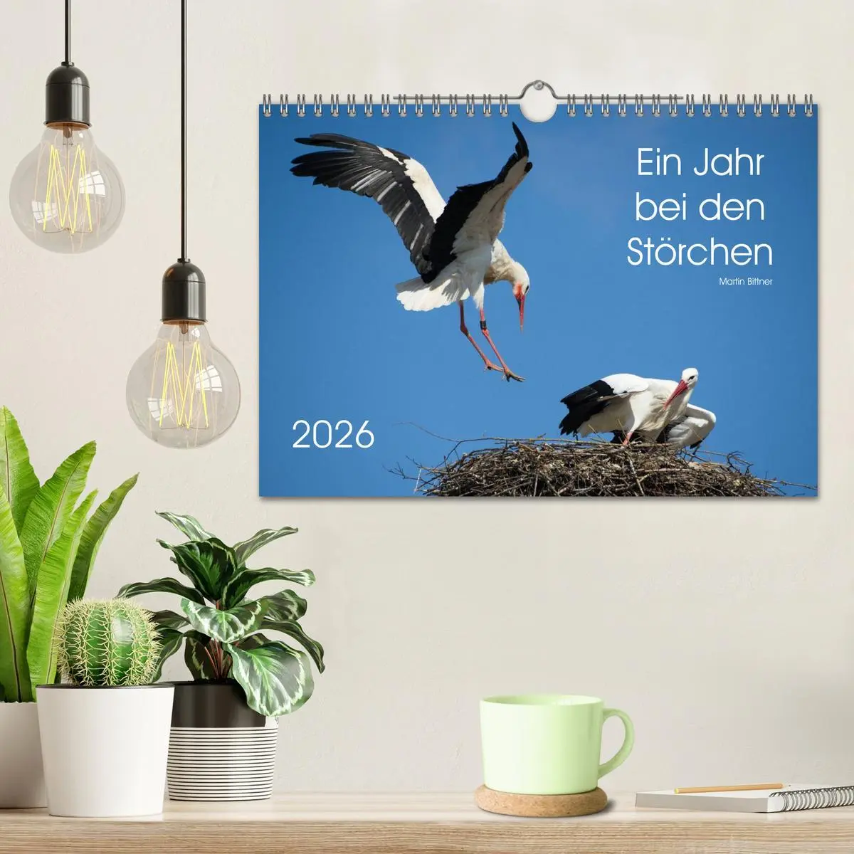 Bild: 9783457995488 | Ein Jahr bei den Störchen (Wandkalender 2026 DIN A4 quer), CALVENDO...