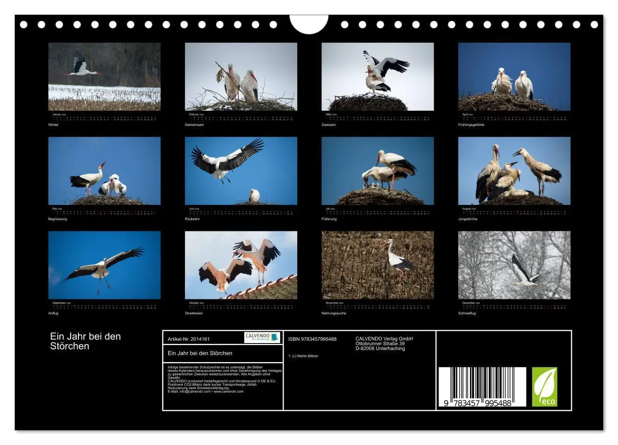 Bild: 9783457995488 | Ein Jahr bei den Störchen (Wandkalender 2026 DIN A4 quer), CALVENDO...