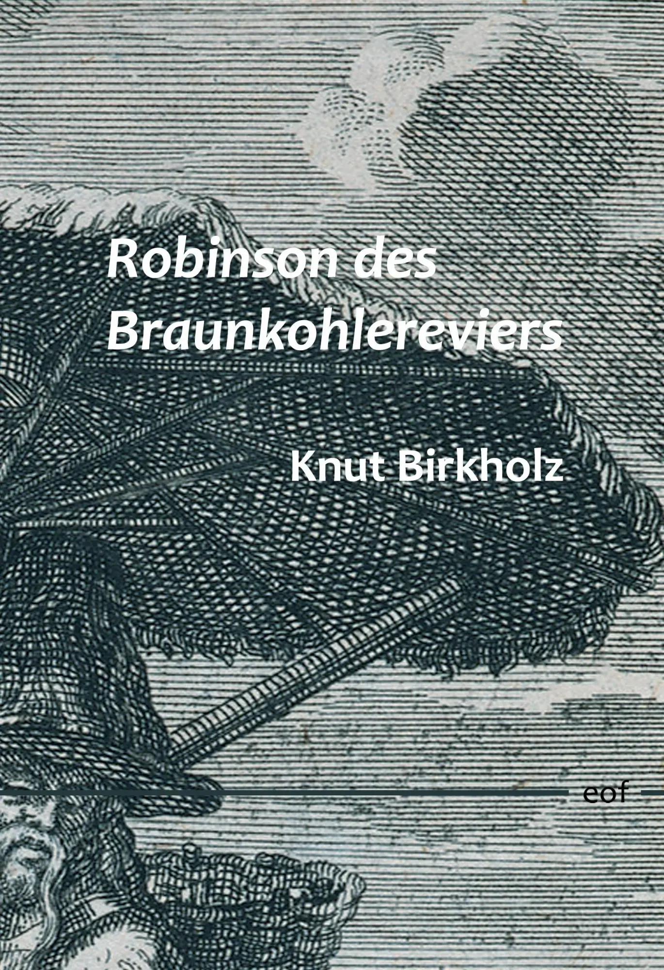 Cover: 9783695735488 | Robinson des Braunkohlereviers | Gedichte | Knut Birkholz | Buch