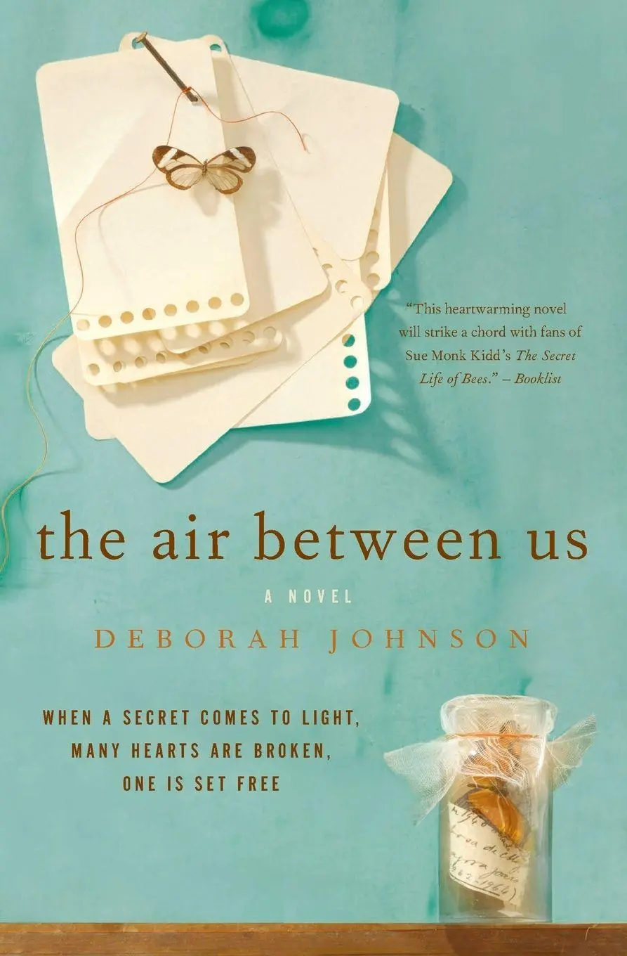 Cover: 9780061255588 | The Air Between Us | Deborah Johnson | Taschenbuch | Englisch | 2009
