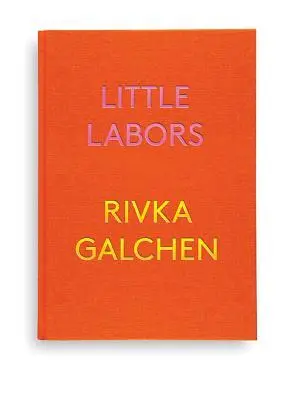 Cover: 9780811225588 | Little Labors | Rivka Galchen | Buch | Gebunden | Englisch | 2016