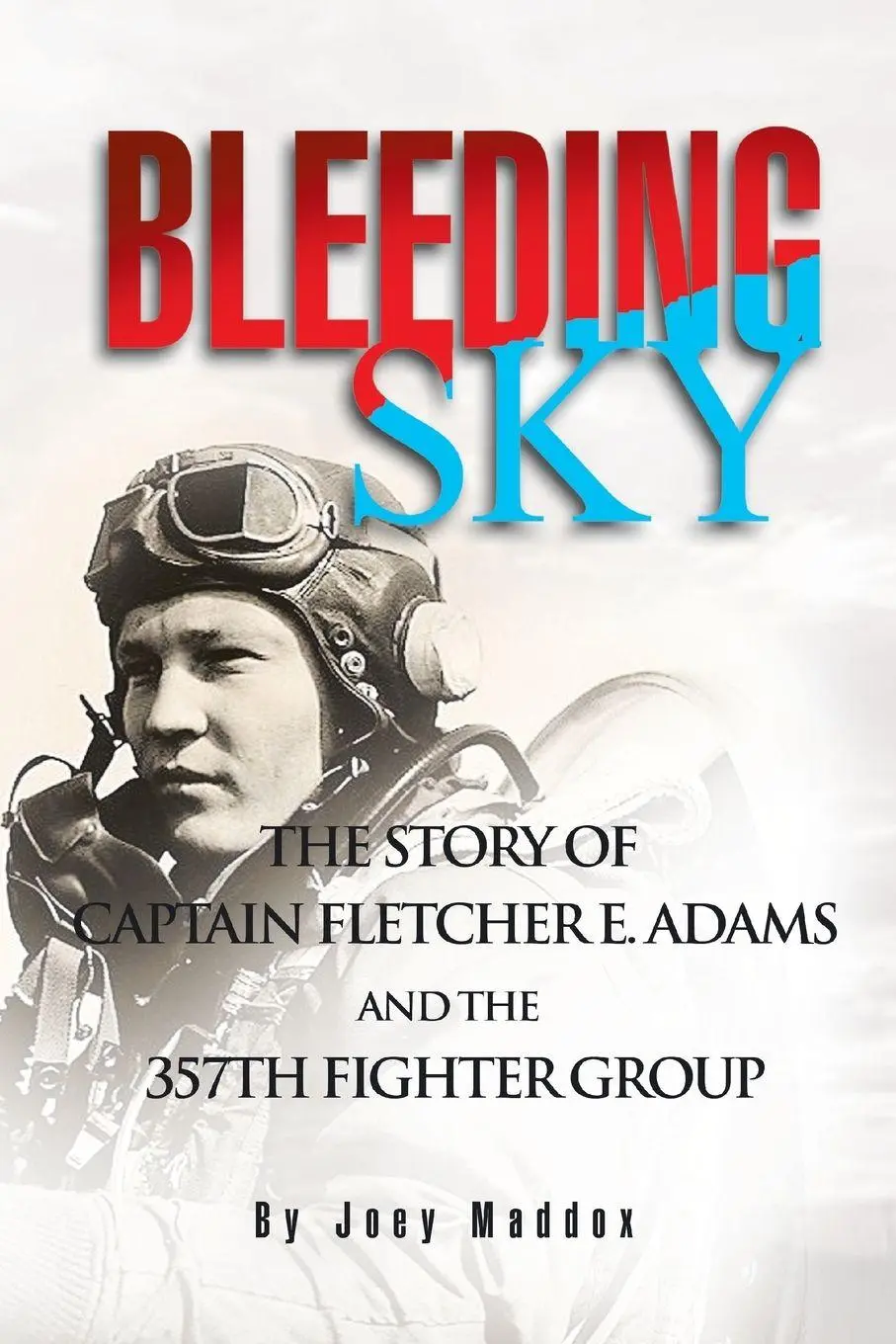 Cover: 9781441555588 | Bleeding Sky | Joey Maddox | Taschenbuch | Kartoniert / Broschiert