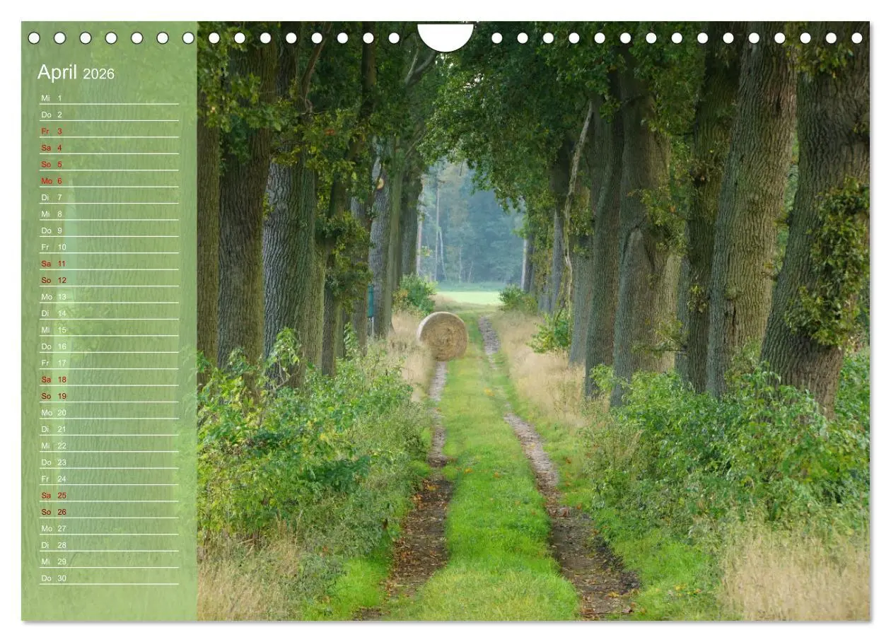 Bild: 9783457365588 | Wendlandreise (Wandkalender 2026 DIN A4 quer), CALVENDO Monatskalender
