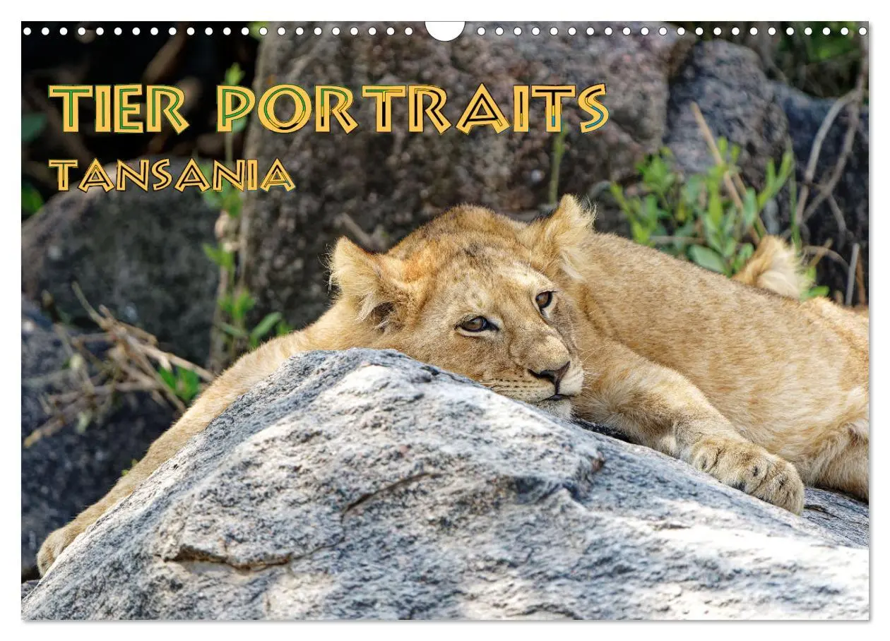 Cover: 9783457355688 | Tier Portraits Tansania (Wandkalender 2026 DIN A3 quer), CALVENDO...