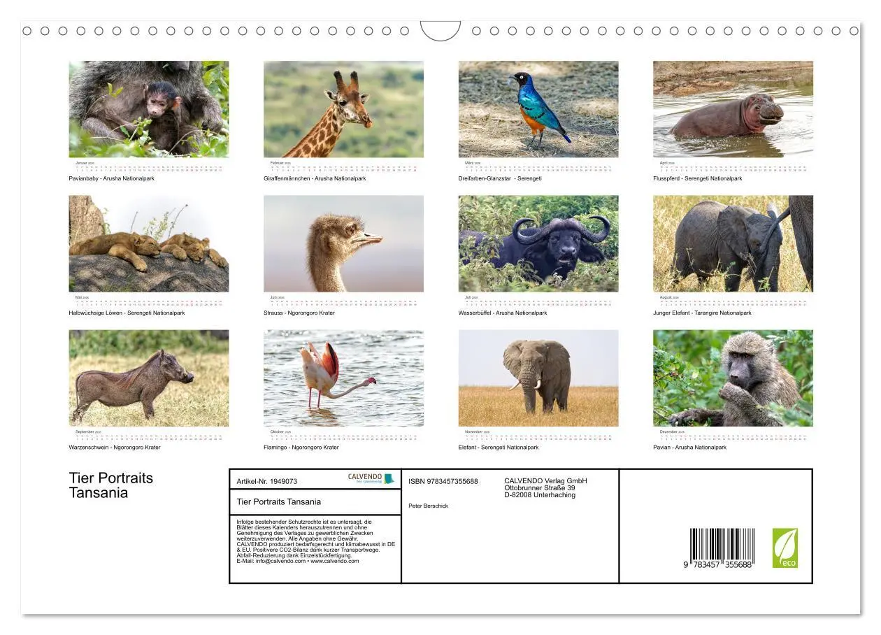 Bild: 9783457355688 | Tier Portraits Tansania (Wandkalender 2026 DIN A3 quer), CALVENDO...