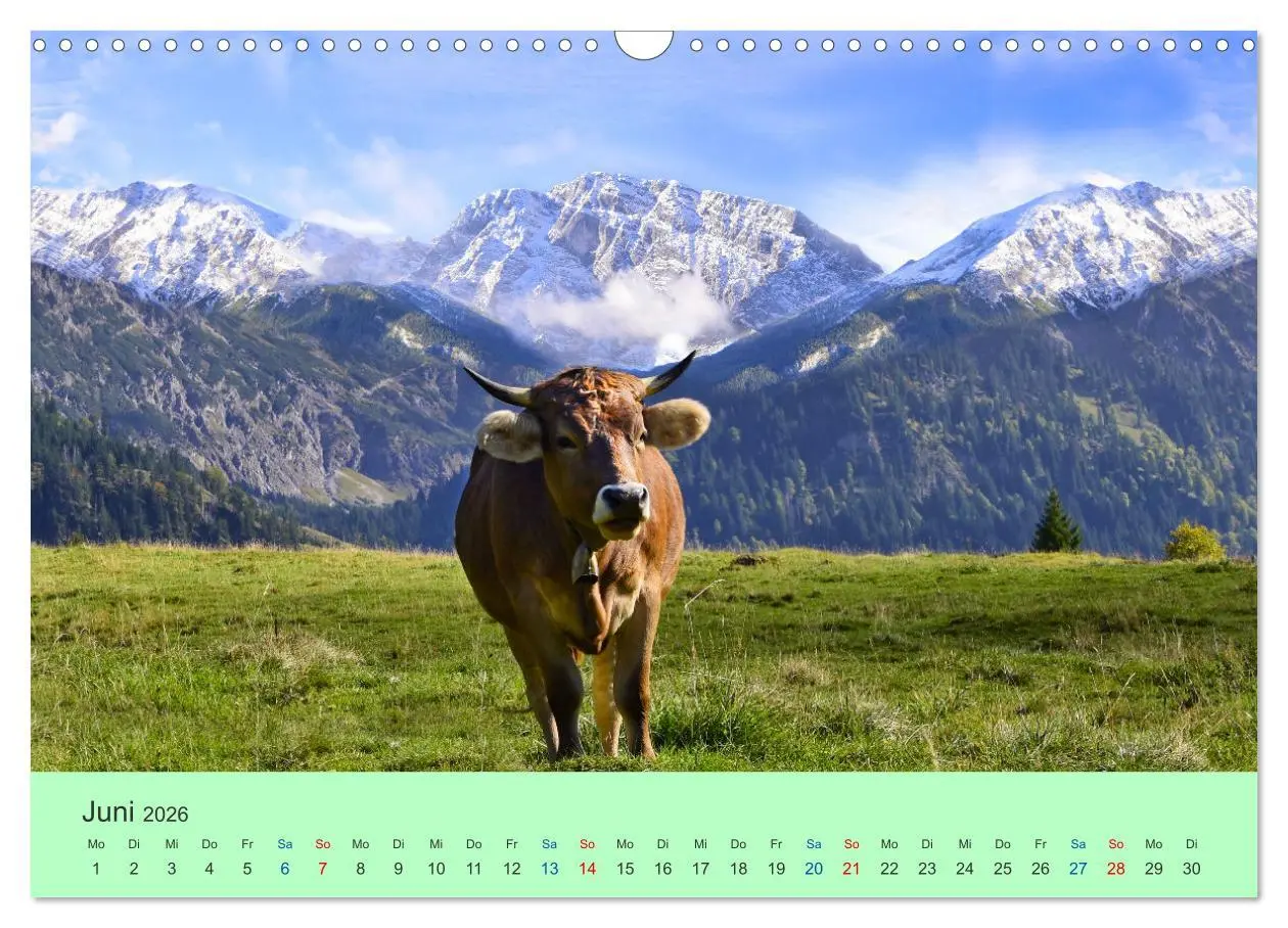 Bild: 9783457595688 | Zauber der Alpen (Wandkalender 2026 DIN A3 quer), CALVENDO...