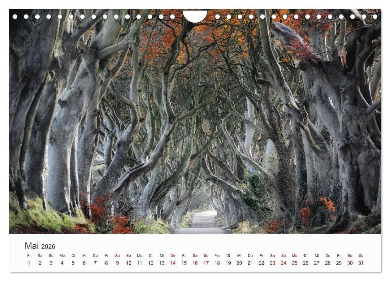 Bild: 9783457805688 | Naturschauspiel Irland (Wandkalender 2026 DIN A4 quer), CALVENDO...