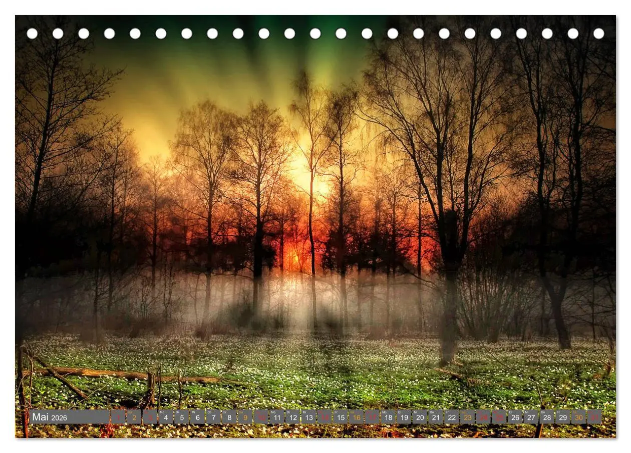 Bild: 9783516205688 | Friesland, verzauberte Landschaft an der Nordsee (Tischkalender...