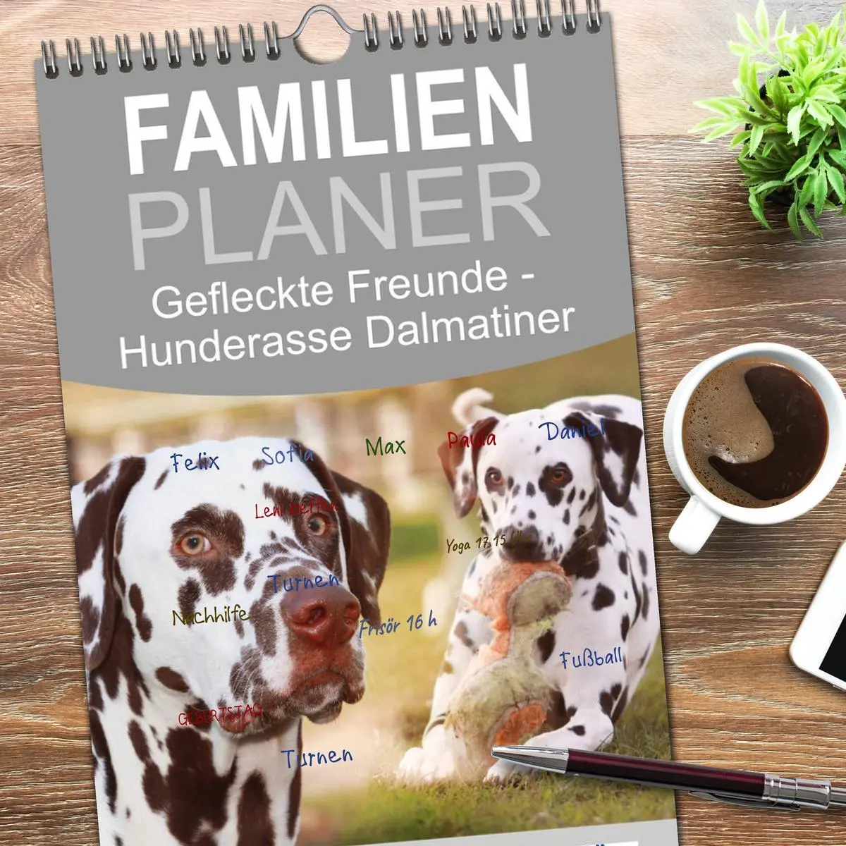 Bild: 9783516515688 | Familienplaner 2026 - Gefleckte Freunde - Hunderasse Dalmatiner mit...