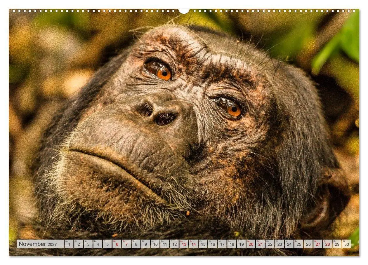 Bild: 9783569395688 | Uganda - ein Land der Vielfalt (hochwertiger Premium Wandkalender...