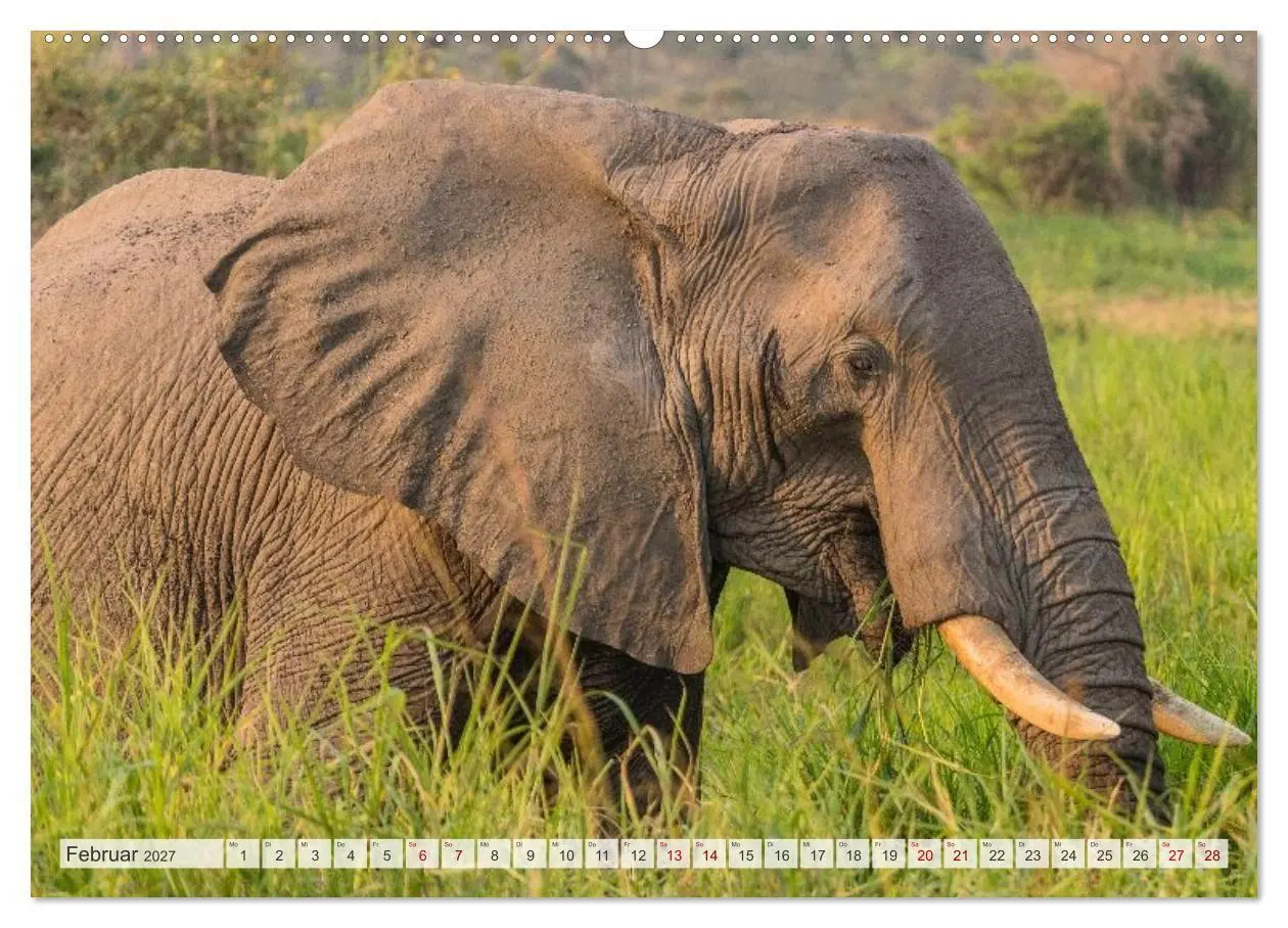 Bild: 9783569395688 | Uganda - ein Land der Vielfalt (hochwertiger Premium Wandkalender...