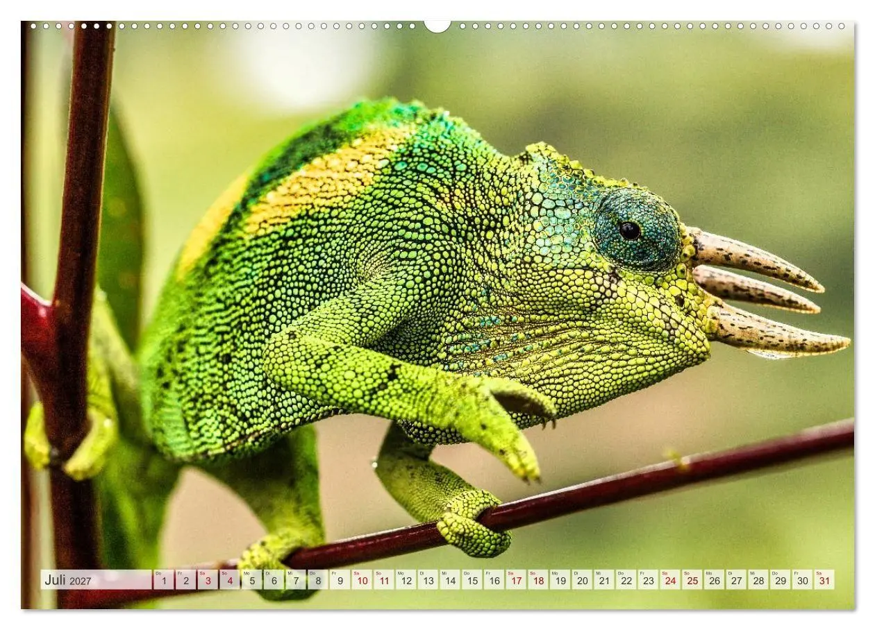 Bild: 9783569395688 | Uganda - ein Land der Vielfalt (hochwertiger Premium Wandkalender...
