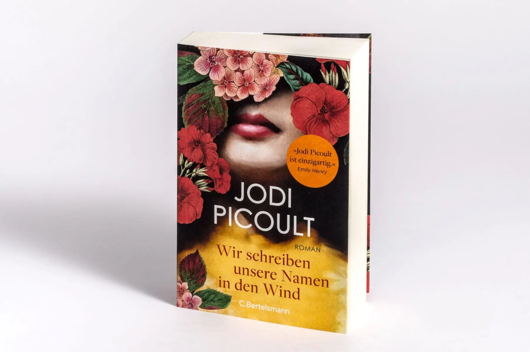 Bild: 9783570105788 | Wir schreiben unsere Namen in den Wind | Jodi Picoult | Taschenbuch