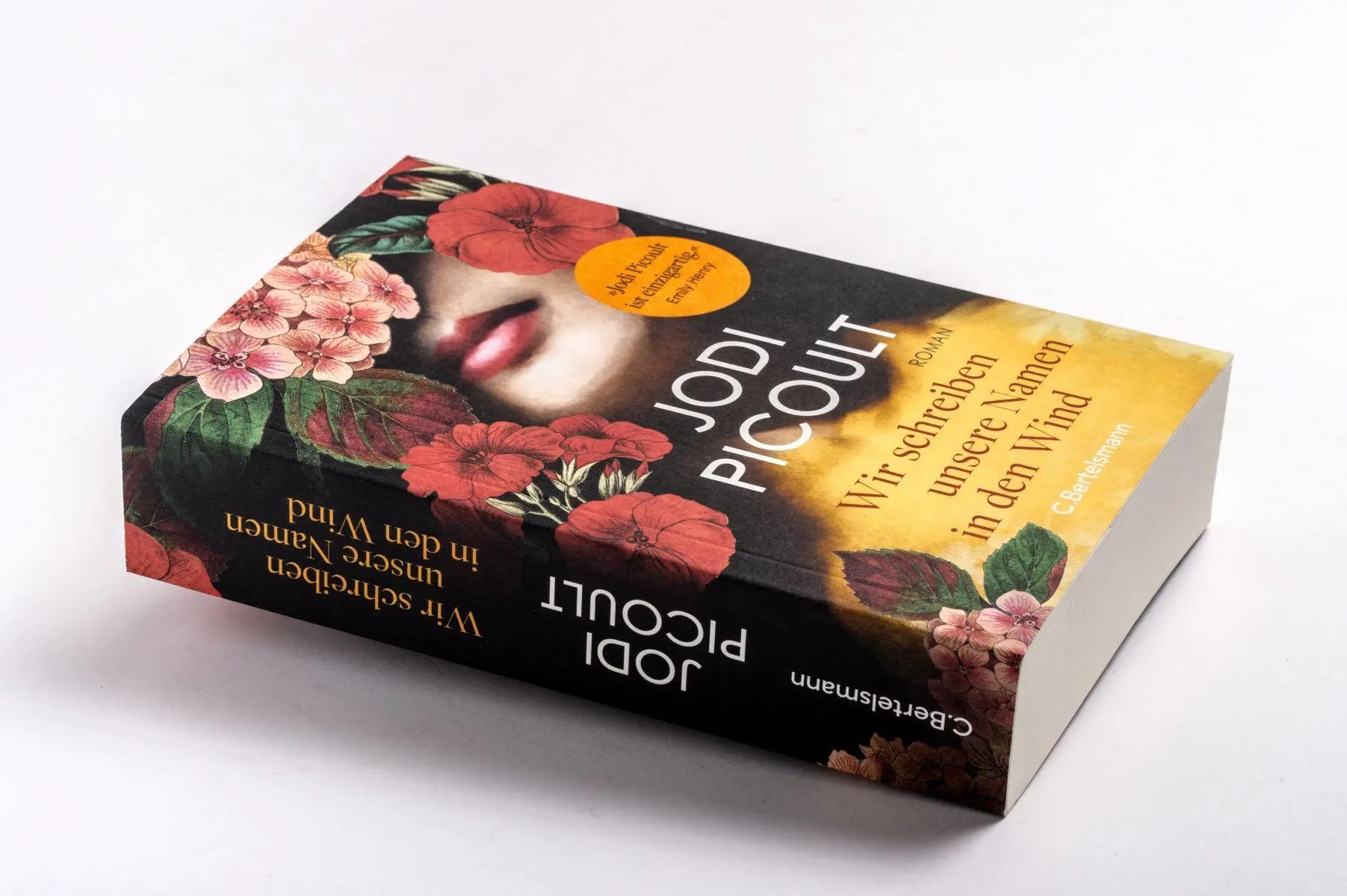 Bild: 9783570105788 | Wir schreiben unsere Namen in den Wind | Jodi Picoult | Taschenbuch