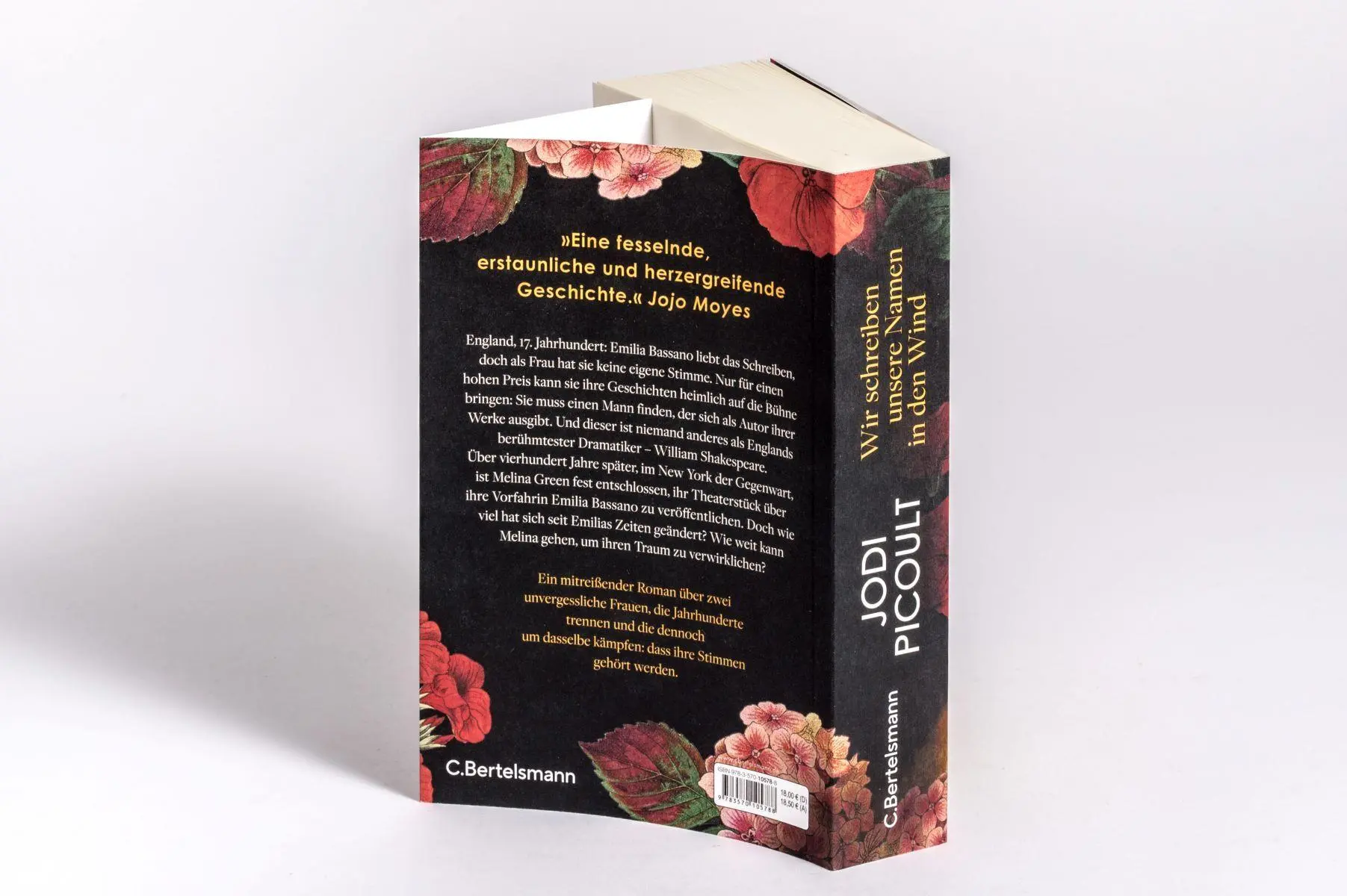 Bild: 9783570105788 | Wir schreiben unsere Namen in den Wind | Jodi Picoult | Taschenbuch