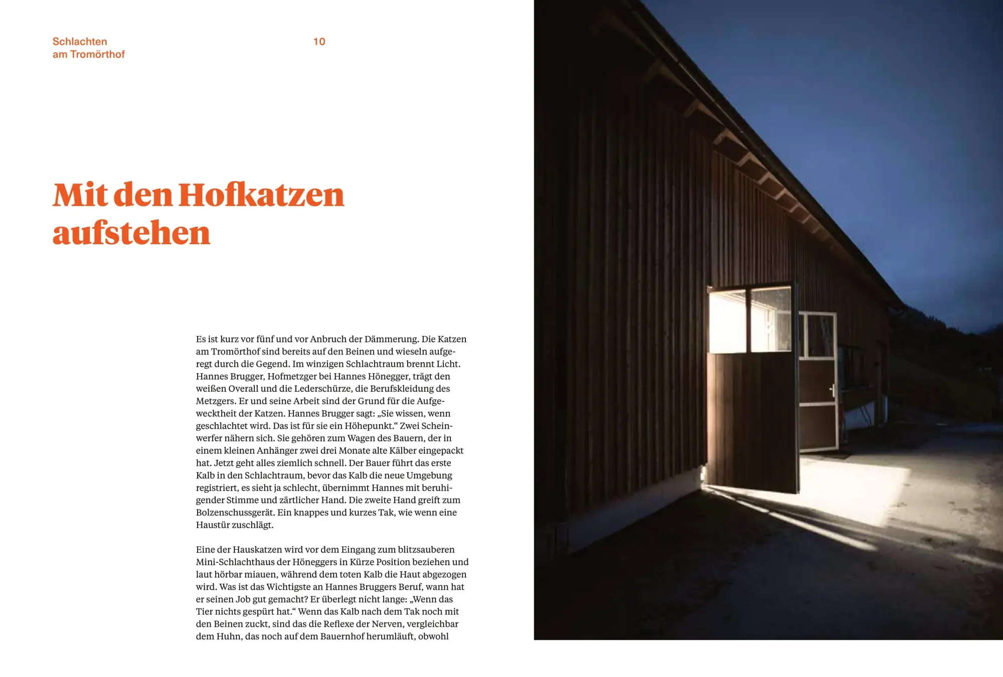 Bild: 9783710605888 | Das goldene Kalb | Hannes Hönegger | Buch | 208 S. | Deutsch | 2022