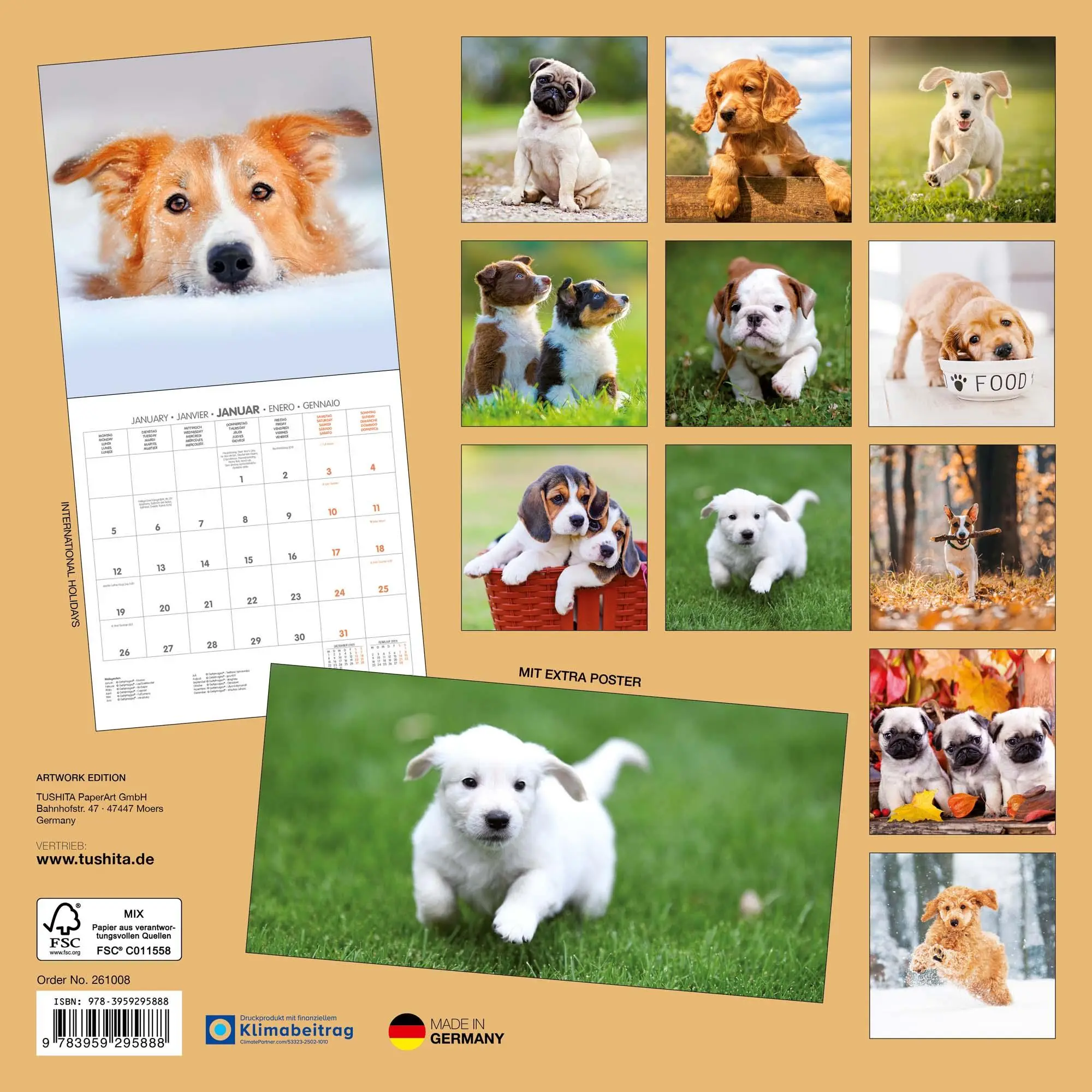 Rückseite: 9783959295888 | Hundewelpen/Puppy Dogs 2026 | Kalender 2026 | Kalender | 28 S. | 2026
